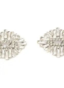 Accesorii pantofi ALDO argintii, 13725440, din metal