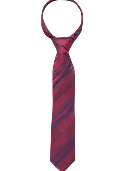 Cravata barbati, model 9501 58 Eterna