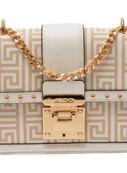 Poseta ALDO bej, 13601030, din piele ecologica